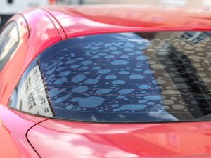 Window Tint Bubbles Are They Normal?